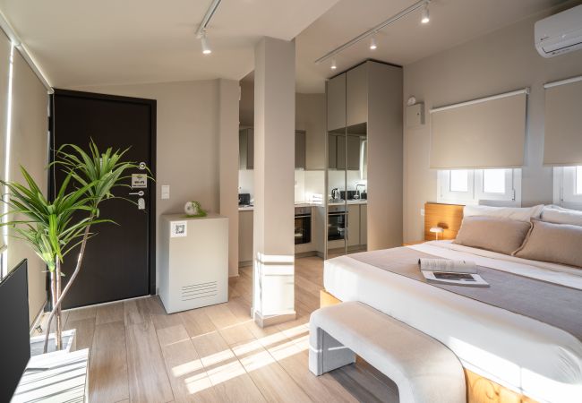 Studio in Athens - Upper Penthouse with Large Terrace, Laundry & Gym