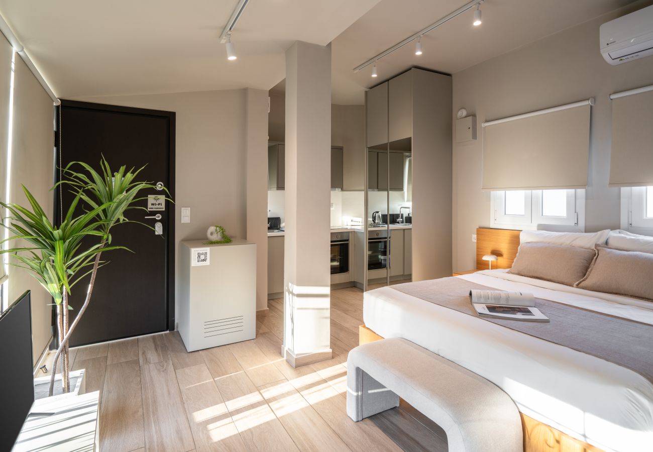 Studio in Athens - Upper Penthouse with Large Terrace, Laundry & Gym