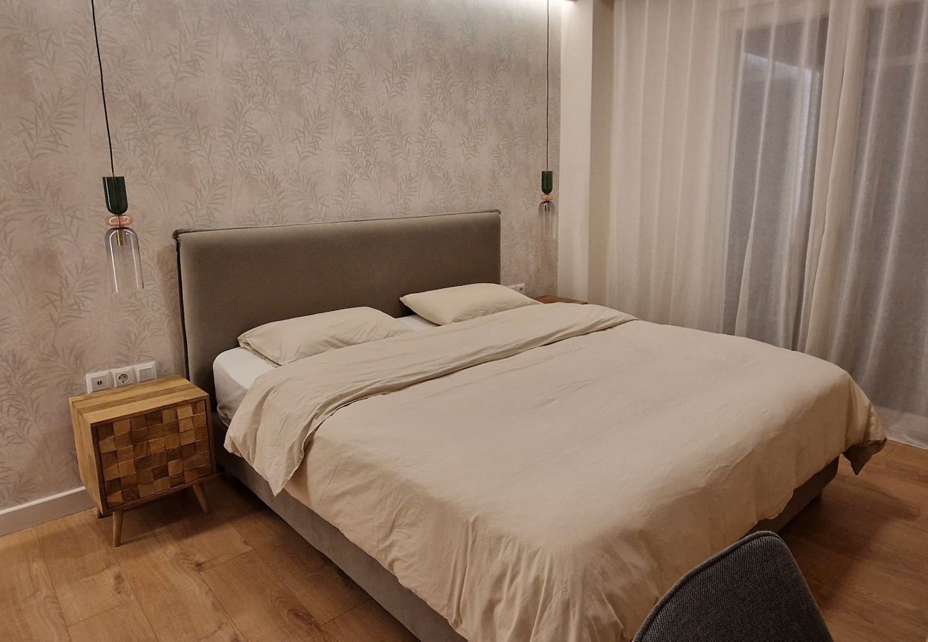 Apartment in Athens - 3 bedrooms apartment in Pagrati