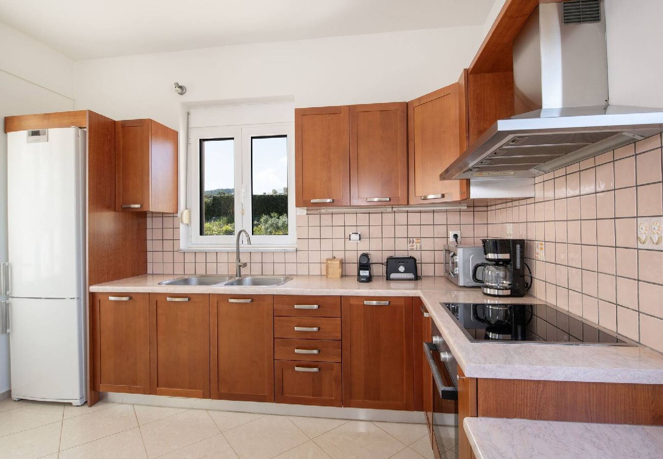 Villa in Plaka - Villa Prinos Private Pool