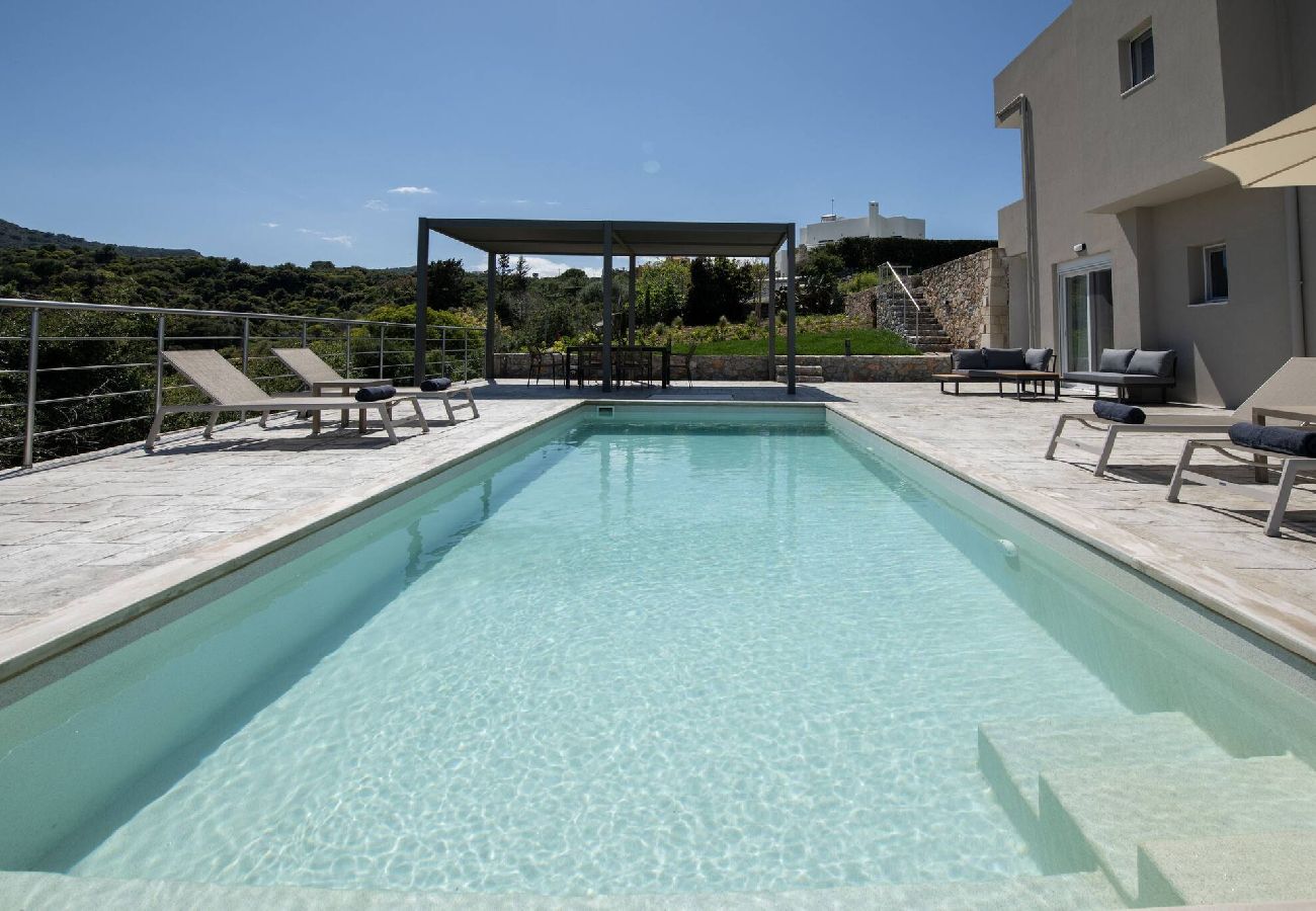 Villa in Plaka - Villa Prinos Private Pool