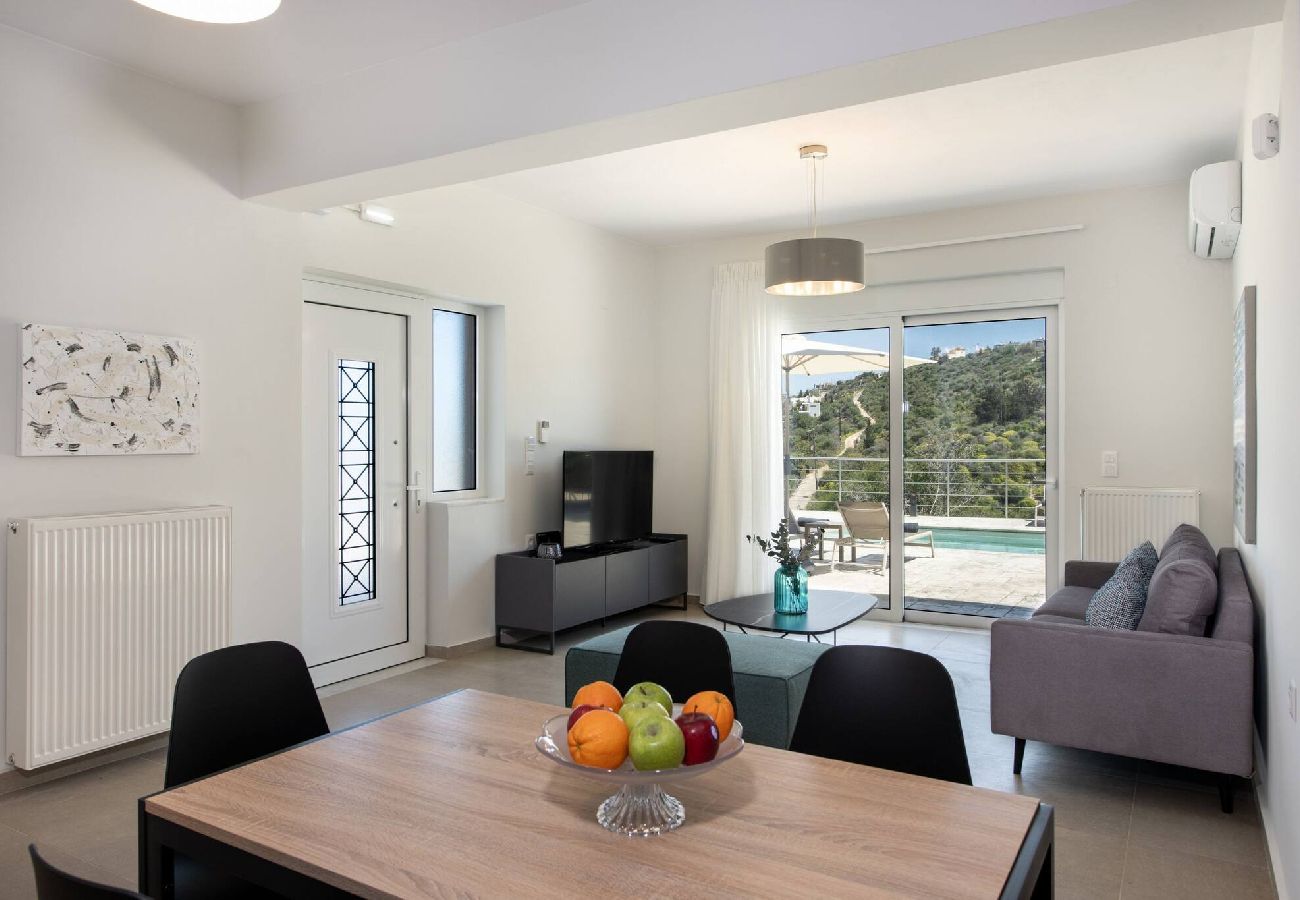 Villa in Plaka - Villa Prinos Private Pool