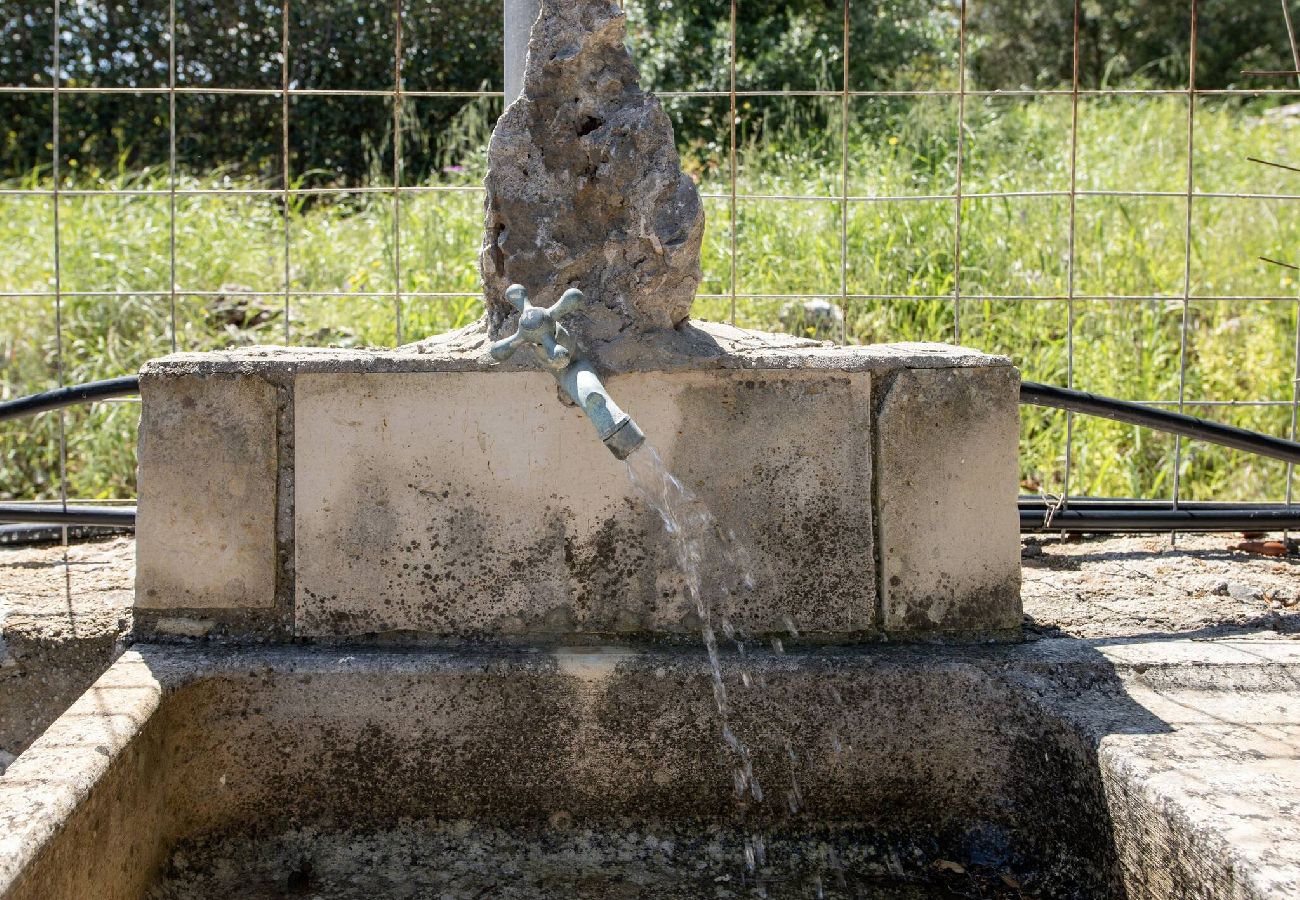 Villa in Plaka - Villa Prinos Private Pool