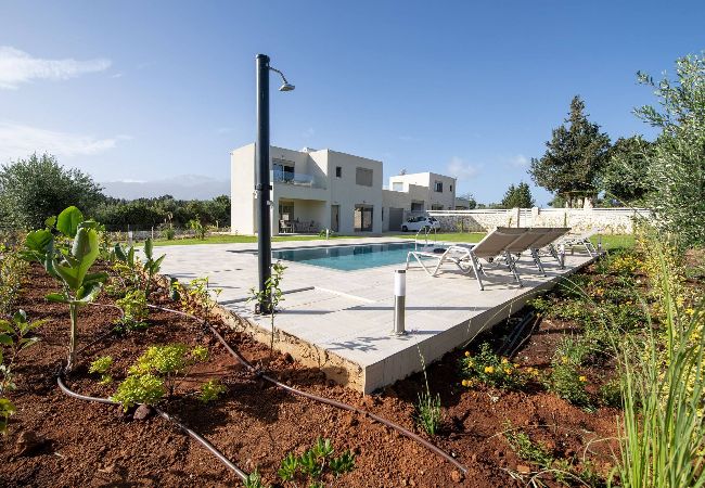 Villa in Douliana - Icarus Luxury Private  Villa