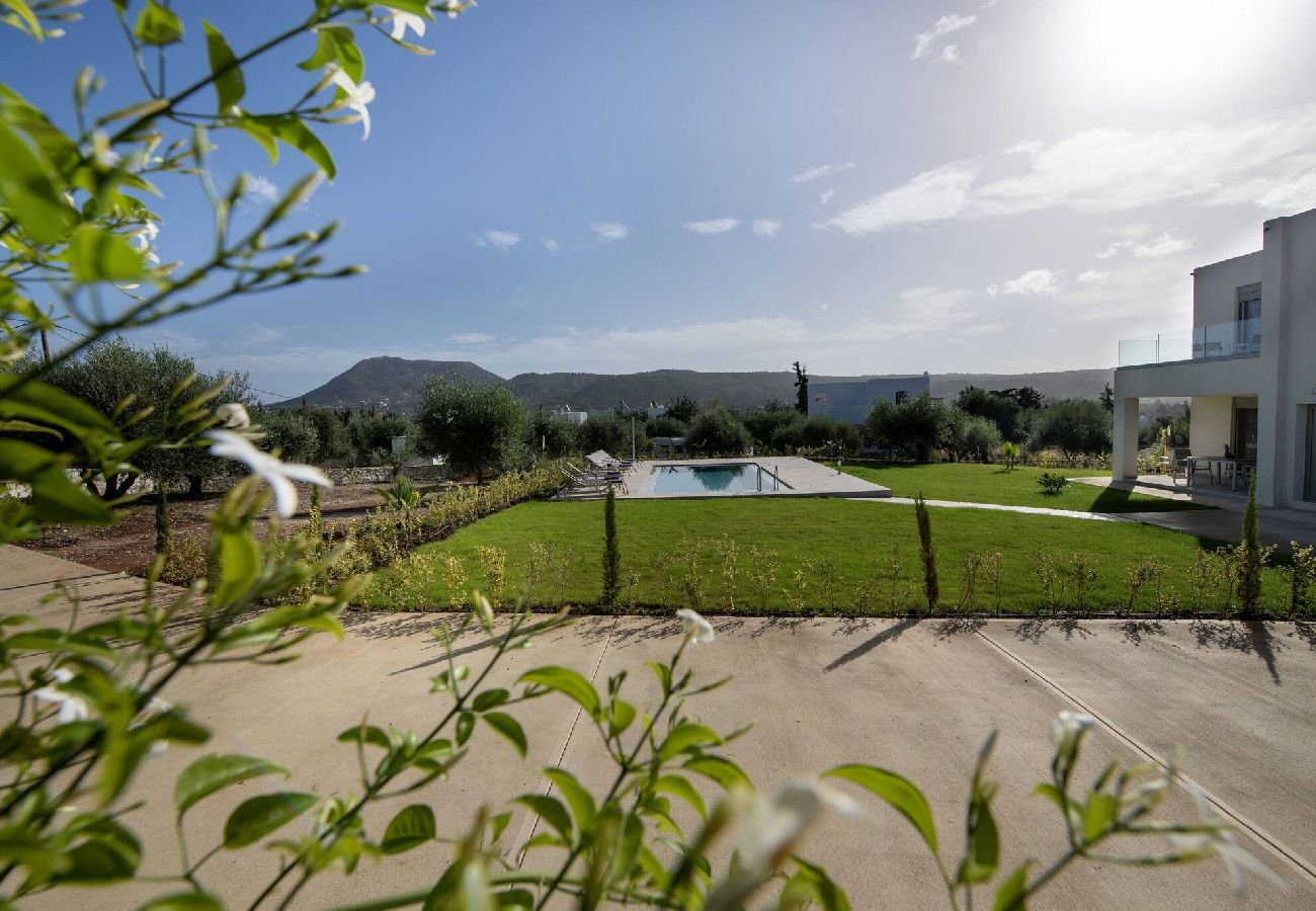 Villa in Douliana - Icarus Luxury Private  Villa