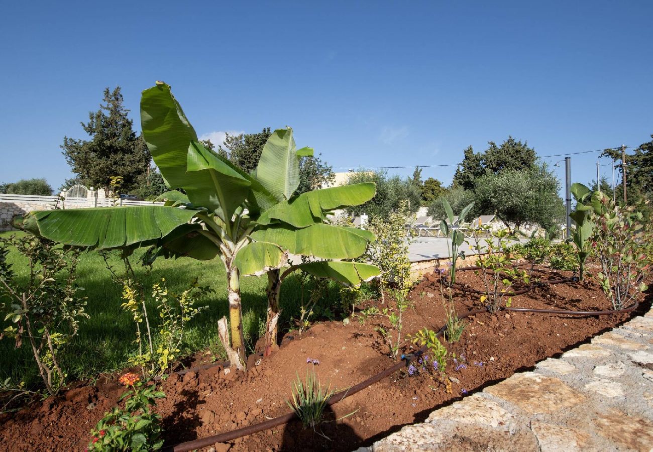 Villa in Douliana - Icarus Luxury Private  Villa