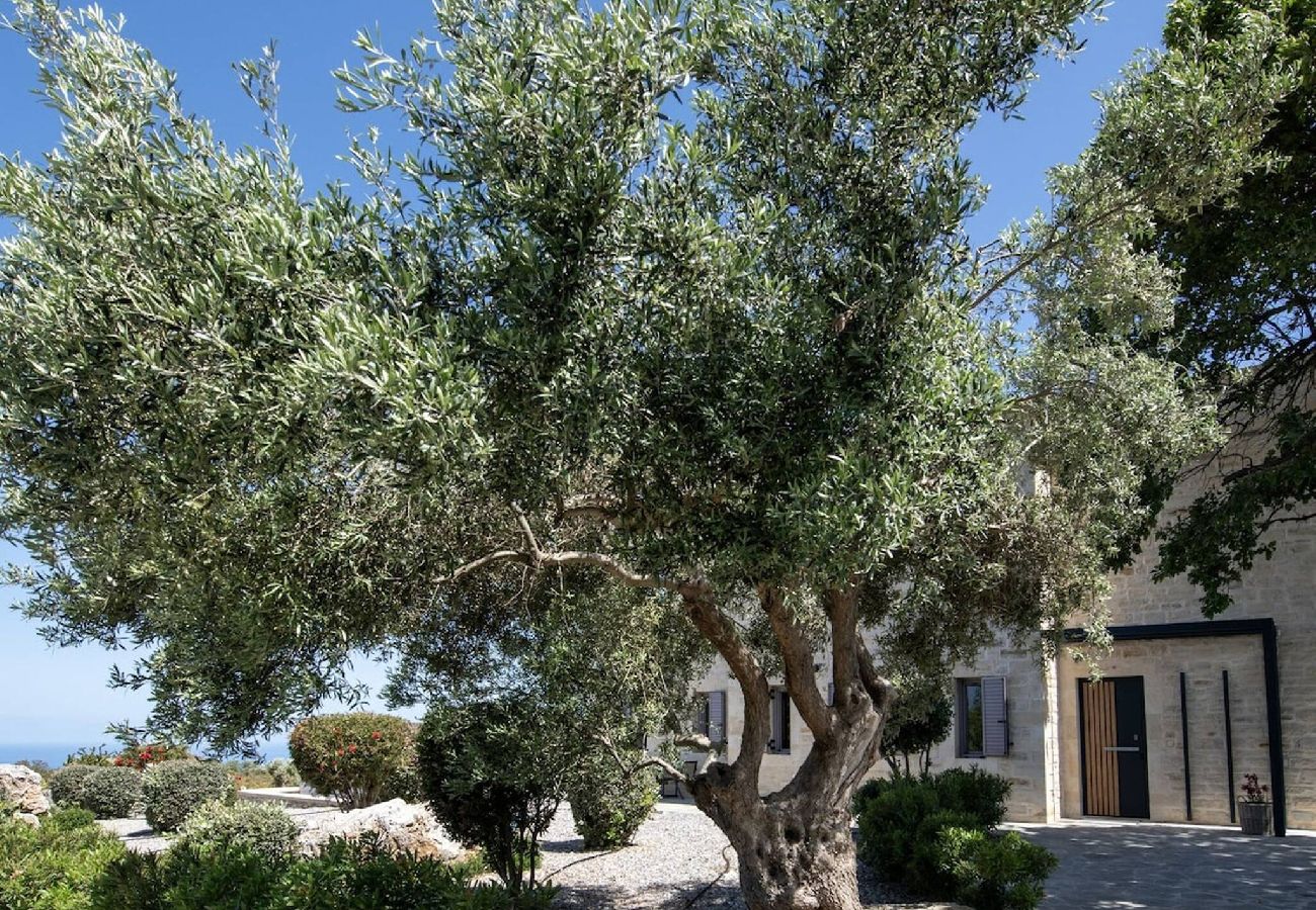 Villa in Prines - Villa Aurora Luxurius Living