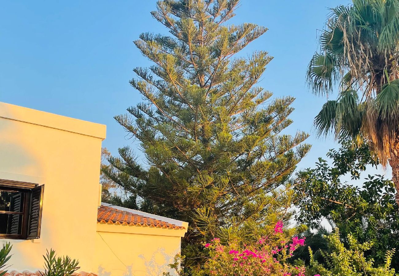 Apartment in Platanias - Rose 4