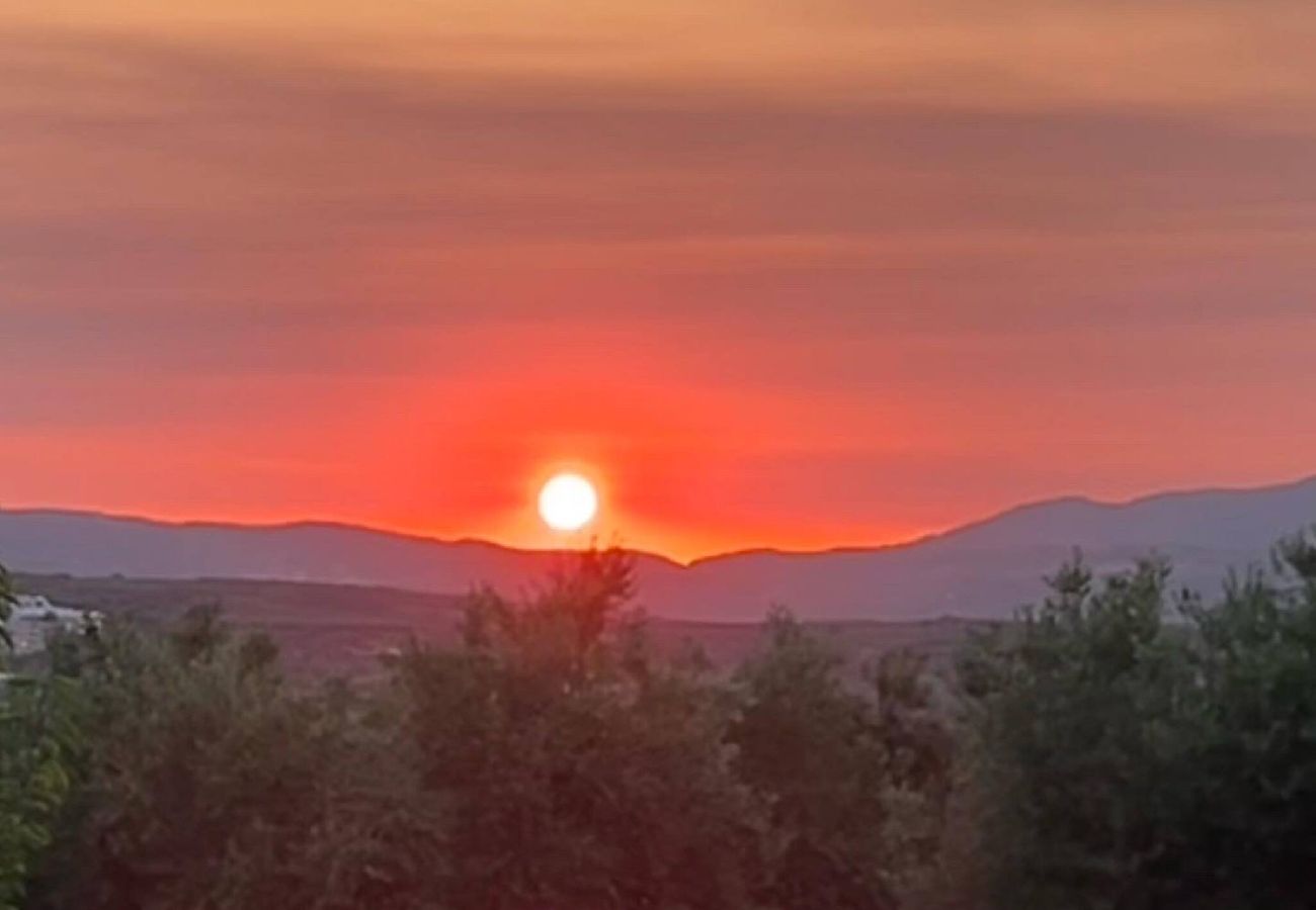 Apartment in Platanias - Rose 5