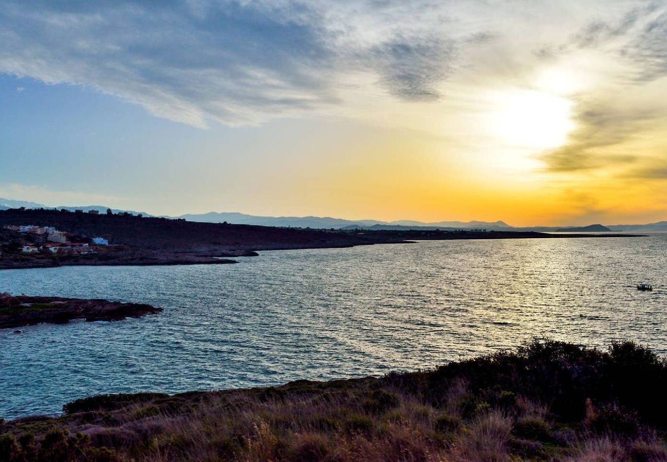 Villa in Chania - Villa Adorno